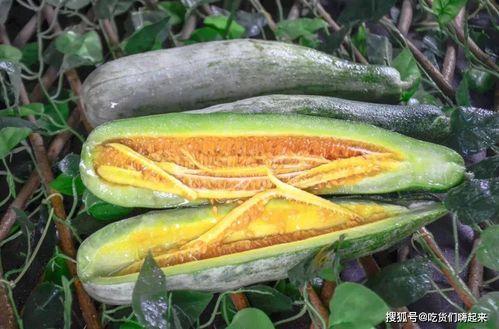 网红吃瓜赵露丝,网红吃瓜界的风云人物  第2张